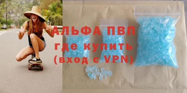 индика Аркадак