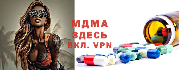 индика Аркадак