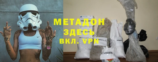 индика Аркадак