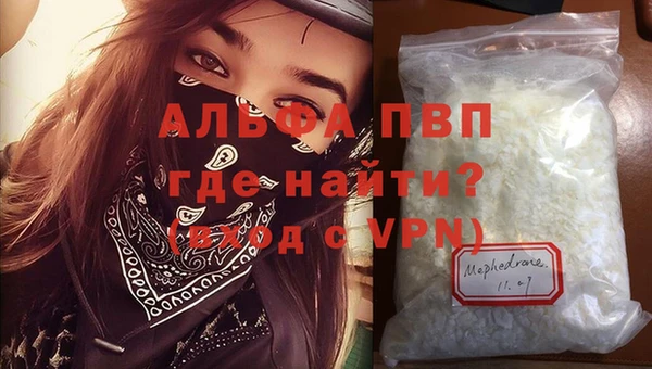 индика Аркадак