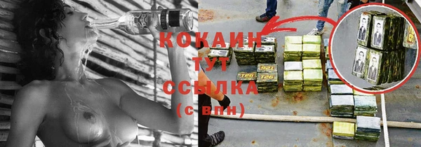 индика Аркадак