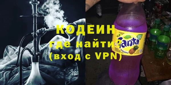 индика Аркадак