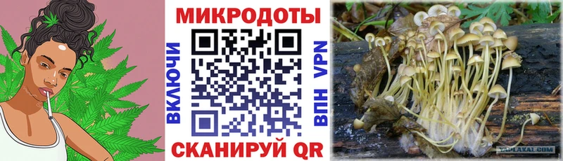 Псилоцибиновые грибы Psilocybine cubensis  Купить  Карпинск 